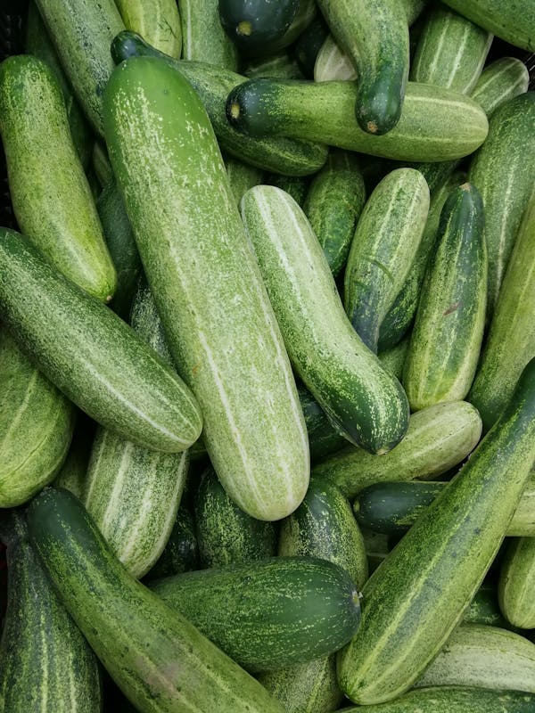 Jobs in Canada for Cucumber Planting